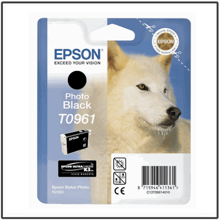 Epson Stylus R2880