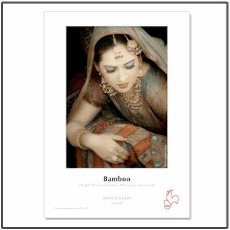 Hahnemühle DFA Bamboo 290gsm Hahnemühle DFA Bamboo 290gsm