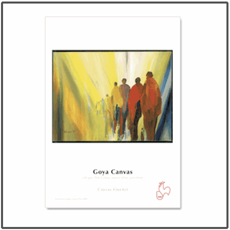 Hahnemühle DFA Goya Canvas 340gsm Hahnemühle DFA Goya Canvas 340gsm