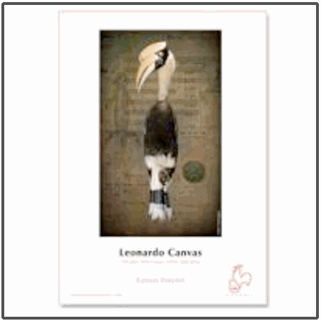 Hahnemühle DFA Leonardo Canvas 390gsm Hahnemühle DFA Leonardo Canvas 390gsm