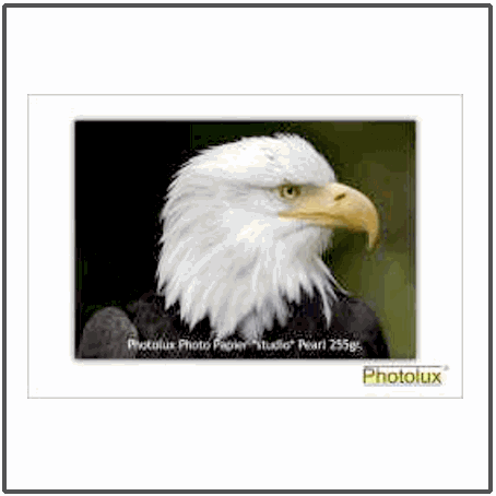 Photolux *studio* Pearl 255gsm
