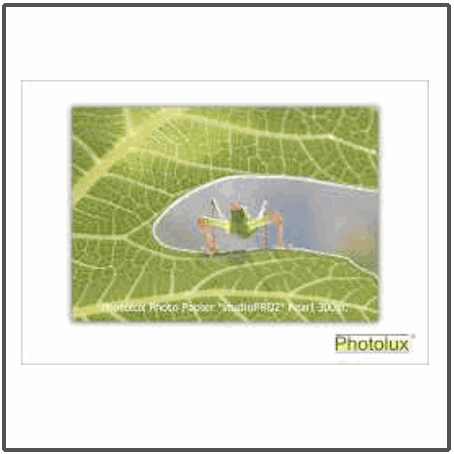 Photolux *studioPRO2* Pearl 300gsm