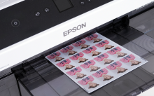 Epson D1000 Sticker