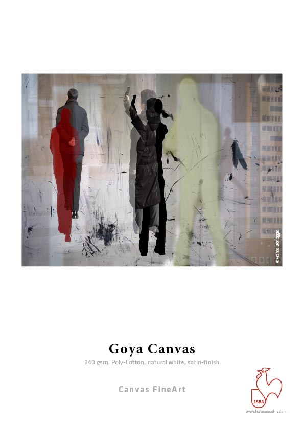 Hahnemühle DFA Goya Canvas 340gsm