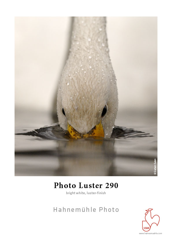 Hahnemühle Photo Luster 290gsm